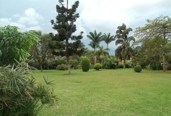 Chai gardens
